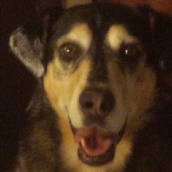 Meet your Posher, Mimi - Picture 8 of 8